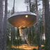 10 Outrageous Tree Houses You’ll Want in Your Backyard