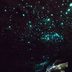 You Can See This Stunning Natural Phenomenon Only in New Zealand—and This One U.S. State