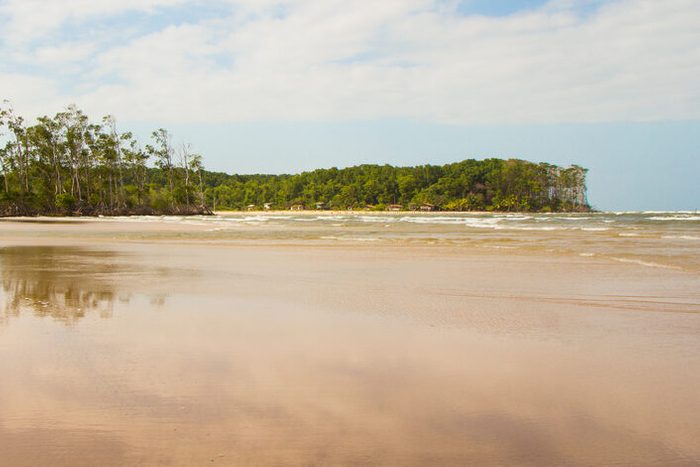 Reflection of mangrove trees in Barra Velha beach, by the Amazon river mouth, in Soure, Marajo island, Brazil.