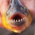 14 Prehistoric Creatures That’ll Give You Nightmares