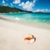 15 Beaches with the Best Shells in the World