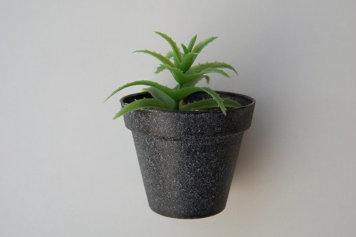 Potted plastic plants and flowers for decorations. Container made of aluminium, plastic, ceramic as well as clay. Plants include Cactus, cacti, beautiful green leaves and red flowers. 