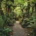 25 Amazing Rainforest Views That Will Make You Feel Like You’re There