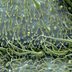 21 Mind-Blowing Microscopic Images of Everyday Objects