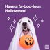 175 Halloween Puns That Will Have You Laughin' Till You're Coffin