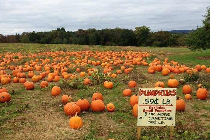 Barton Orchards Farm And Bakery In Poughquag New York