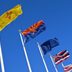 All 50 U.S. State Flags and the Meanings Behind Them