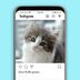 43 Purrfect Cat Instagram Captions for Your Kitty's Clicks