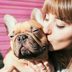These Are the Most Popular Dog Breeds in the U.S. Right Now