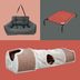 13 Wayfair Pet Products We Didn't Know We Needed—And Can't Live Without
