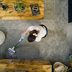11 Polite Habits House Cleaners Secretly Hate—and What to Do Instead