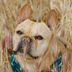 Dog Owners Need to Be Extra Careful Outside This Summer—Here's Why