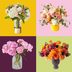 8 Gorgeous Mother’s Day Flowers to Send All the Moms in Your Life in 2025