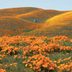 15 of America's Most Beautiful Places to Visit in Spring 2025