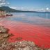 Here's Why the Ocean Turns Red—And What to Do If It Happens at Your Spring Break Destination