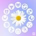 What the 2025 Spring Equinox Means for Your Zodiac Sign