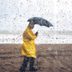 10 Rain Facts You Probably Missed in School