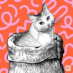 The True Origin Of Let The Cat Out Of The Bag