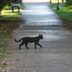 13 Surprising Things You Didn’t Know Were Considered Bad Luck