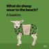 35 Sheep Puns That Are Perfect for Ewe