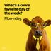 70 Funny Monday Jokes to Get You Through the Week