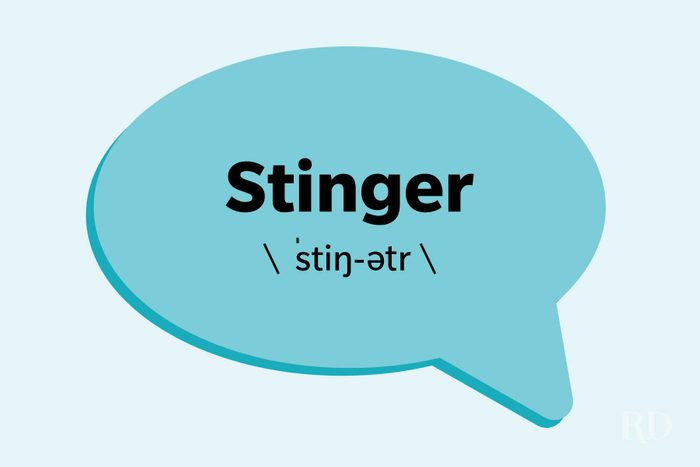 Slang Words You Didnt Know Were In The Dictionary Stinger
