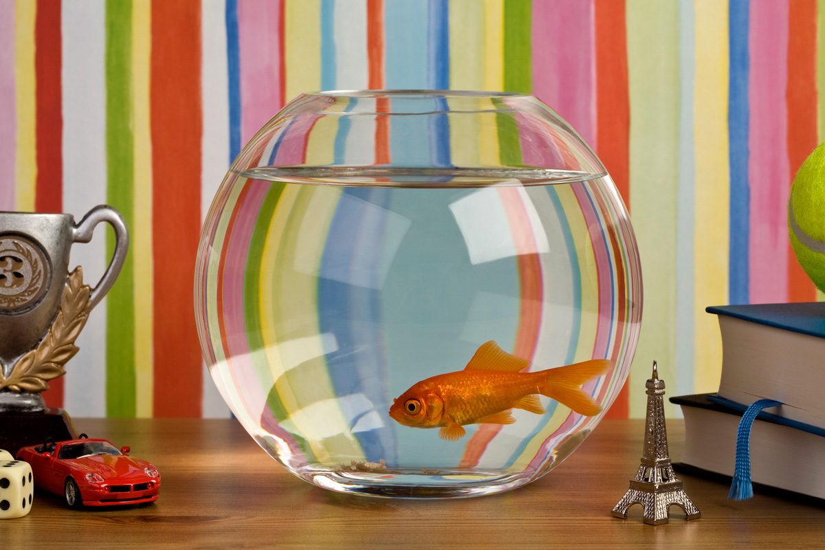 17 Bizarre Things That Have Been Banned Around the World