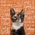 200+ Best Cat Names That Are Purrfect for Your Pet