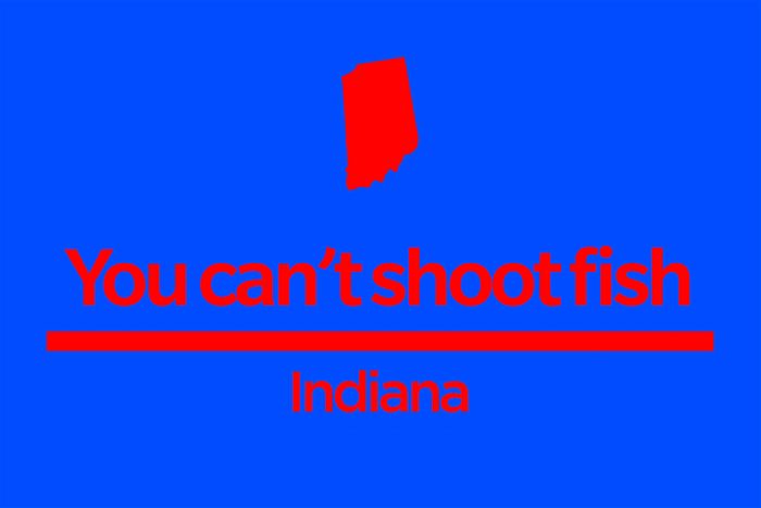 50 Things You Wont Believe Are Banned In The Us 14