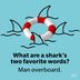 50 Shark Puns and Jokes That Are Simply Fin-tastic