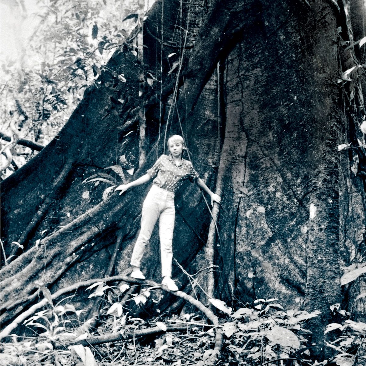 The True Story of the Girl Who Fell from the Sky