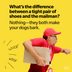 70 "What's the Difference Between" Jokes Guaranteed to Make You Laugh